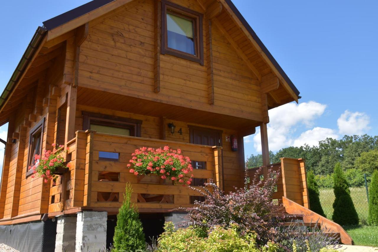 Caloroczne Domki Zaciszna Polana Bad Altheide Exterior foto